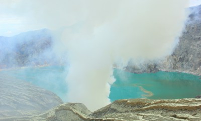 IJENARDHA8